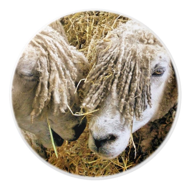 BOUTON DE PORTE EN CÉRAMIQUE SHEEP (Devant)