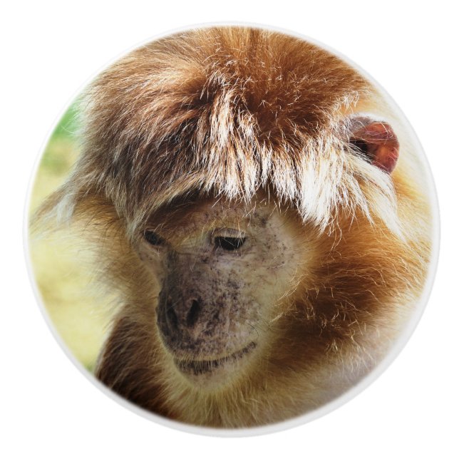 BOUTON DE PORTE EN CÉRAMIQUE SINGES (Devant)