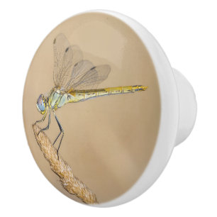 Bouton De Porte En Céramique Skimmer Dragonfly Insecte Femelle (CC BY 4.0)