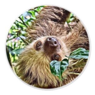 Bouton De Porte En Céramique Sloth peint