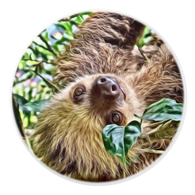 Bouton De Porte En Céramique Sloth peint (Devant)