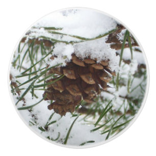 Bouton De Porte En Céramique Snowy Pine Cone I