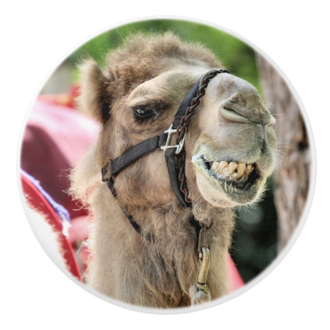 Bouton De Porte En Céramique Sourire (Devant)