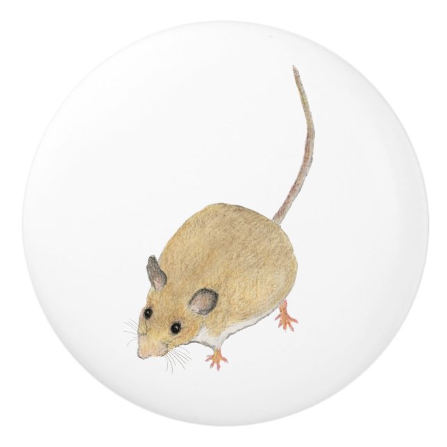 Bouton De Porte En Céramique Souris (Devant)