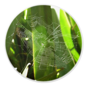 Bouton De Porte En Céramique Spiderweb dans Tropical Leaves Nature
