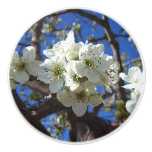 Bouton De Porte En Céramique Spring Flowering Pear Tree
