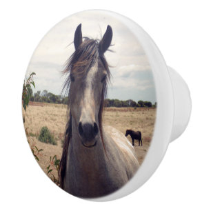 Bouton De Porte En Céramique Star The Arab Pony,