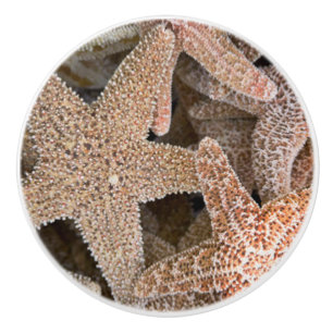 Bouton De Porte En Céramique Starfish tout autour