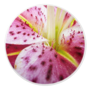 Bouton De Porte En Céramique Stargazer Lily brillant Magenta Floral