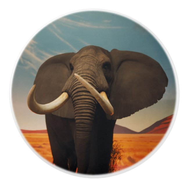 Bouton De Porte En Céramique Stature de Majestic (Devant)