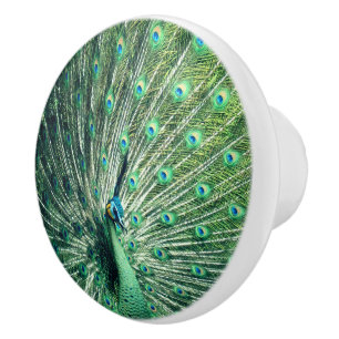 Bouton De Porte En Céramique Strut Peacock