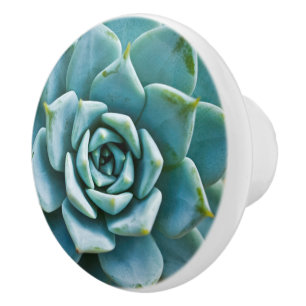 Bouton De Porte En Céramique Succulent
