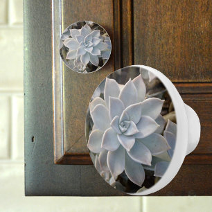 Bouton De Porte En Céramique Succulent Photographique Botanique Bleu Argenté