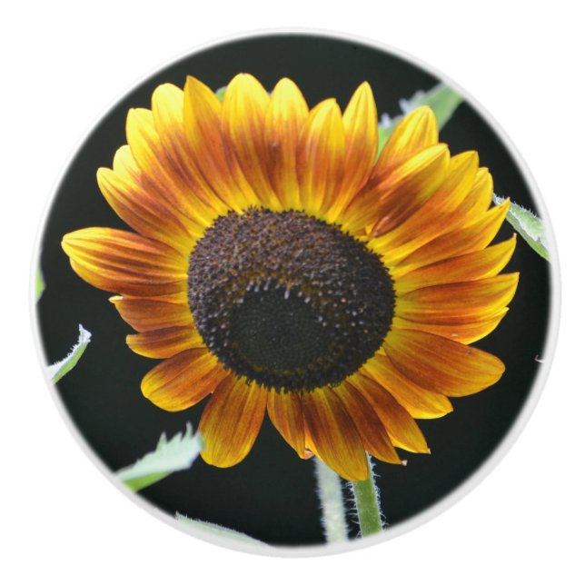 Bouton De Porte En Céramique Sunflower Ceramic Knob (Devant)