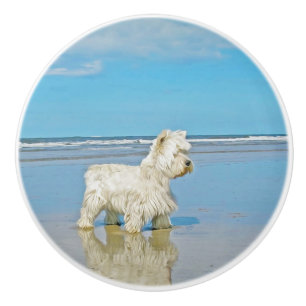 Bouton De Porte En Céramique Terrier blanc de West Highland