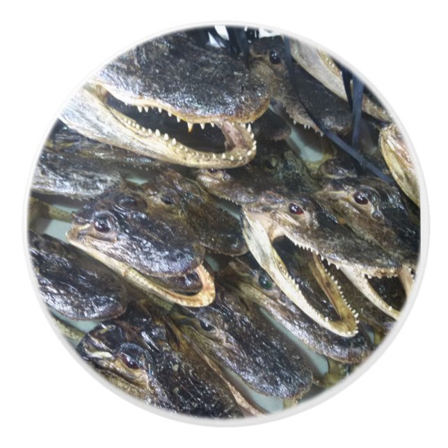Bouton De Porte En Céramique Tête de l'alligator (Devant)
