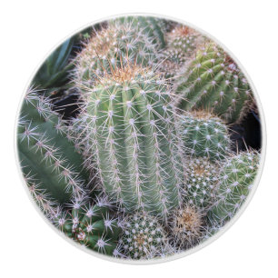 Bouton De Porte En Céramique Tige Cactus céramique
