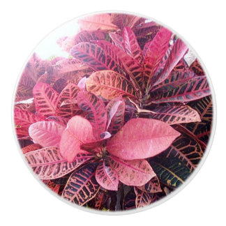 Bouton De Porte En Céramique Tirage en céramique