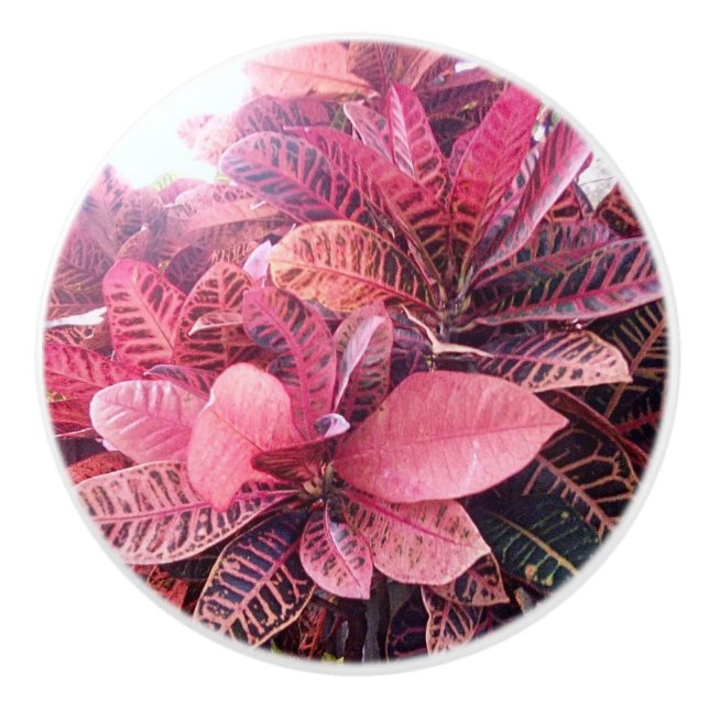 Bouton De Porte En Céramique Tirage en céramique (Devant)