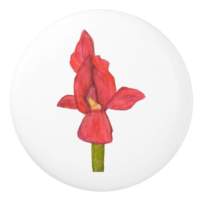Bouton De Porte En Céramique Tiroir rouge Iris (Devant)