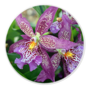 Bouton De Porte En Céramique Tiroirs d'orchidée