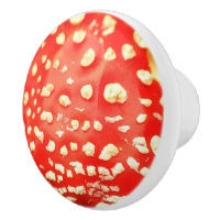 Toadstool rouge et blanc Champignons Photographie