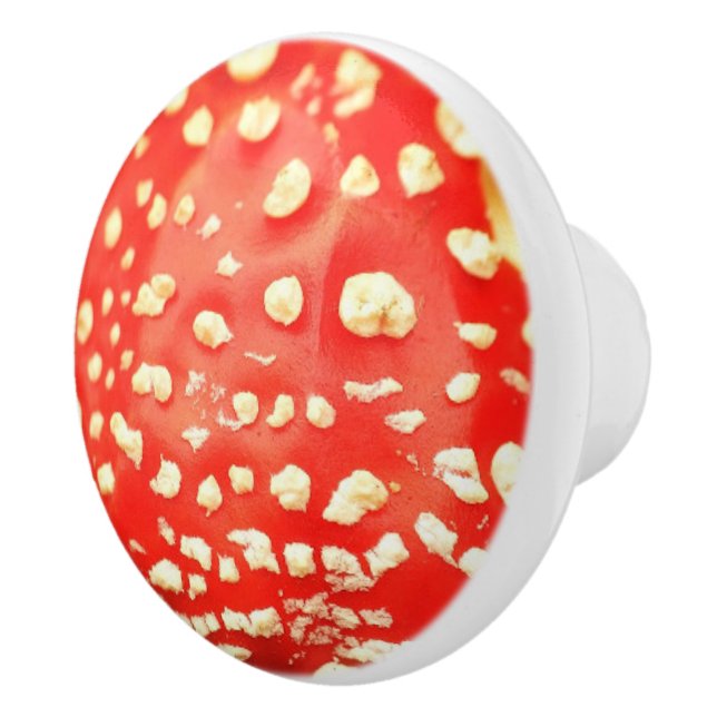 Bouton De Porte En Céramique Toadstool rouge et blanc Champignons Photographie (Droite)