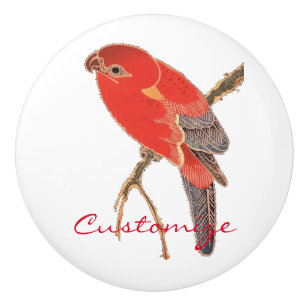 Bouton De Porte En Céramique Tonnerre de perroquet rouge tropical