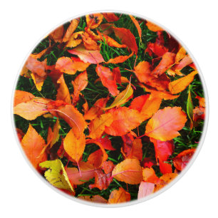 Bouton De Porte En Céramique Touche de porte de texture feuille d'automne