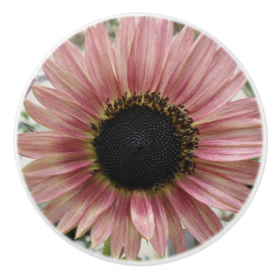Bouton De Porte En Céramique Tournesol rose pâle