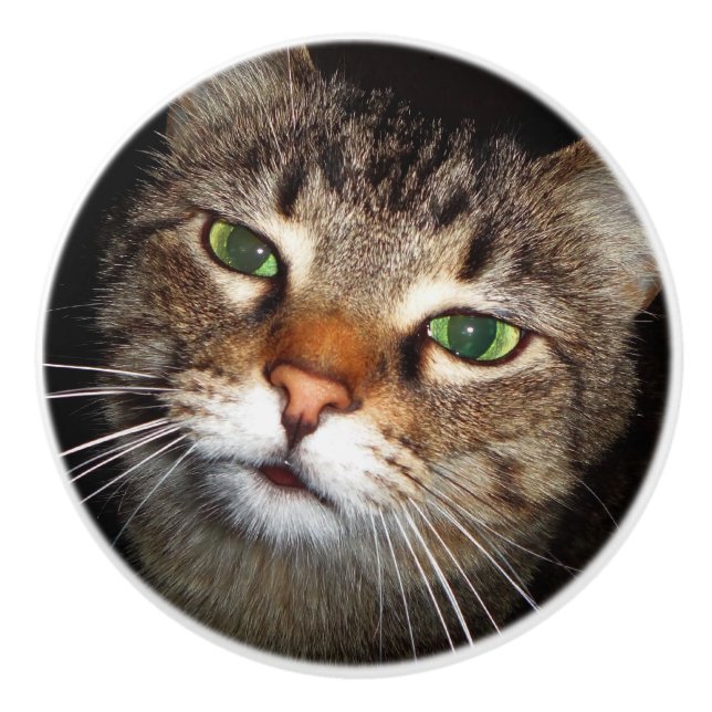 Bouton De Porte En Céramique Traction de chat tigré (Devant)