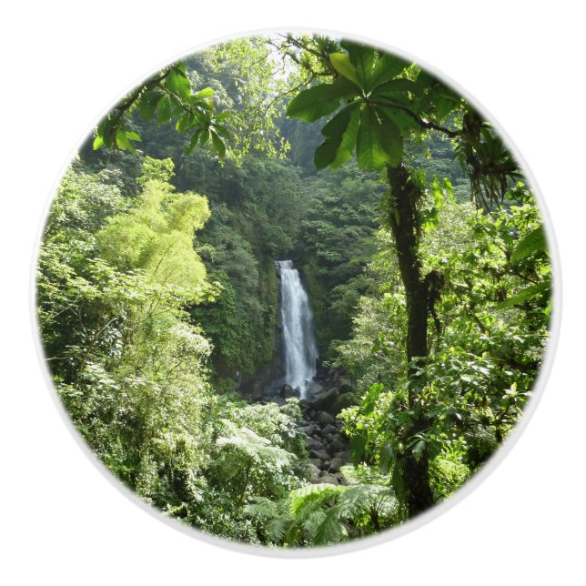 Bouton De Porte En Céramique Trafalgar Falls Tropical Rainforest Photographie (Devant)