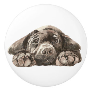 Bouton De Porte En Céramique Triste Black Labrador Retriever Chien Animal anima