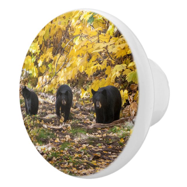 Bouton De Porte En Céramique Trois ours (Droite)