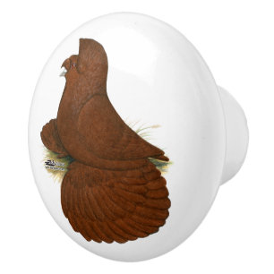 Bouton De Porte En Céramique Trumpeter Pigeon rouge