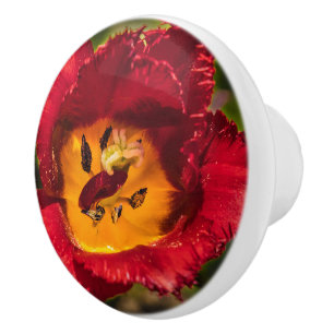 Bouton De Porte En Céramique Tuliforme rouge