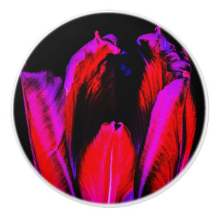 Bouton De Porte En Céramique Tulipe de Neon Glow