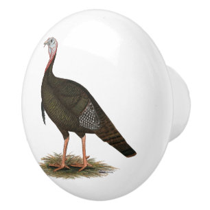 Bouton De Porte En Céramique Turquie : Tom sauvage de l'Est