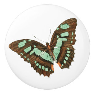 Bouton De Porte En Céramique Turquoise et papillon de brun