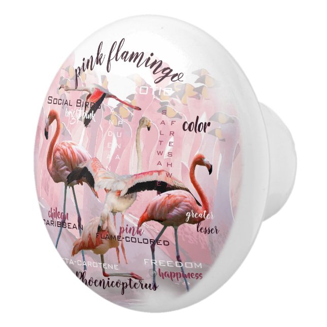 Bouton De Porte En Céramique Typographe rose Flamingo | Customized (Droite)