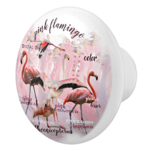 Bouton De Porte En Céramique Typographie du Flamant rose rose Customisé