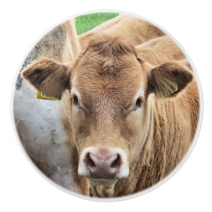 BOUTON DE PORTE EN CÉRAMIQUE UN PETIT CALF CUISINE