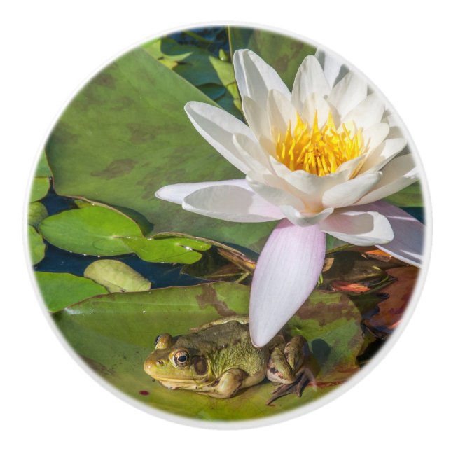 Bouton De Porte En Céramique Une grenouille sous une fleur de nénuphar (Devant)