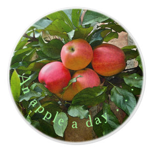 BOUTON DE PORTE EN CÉRAMIQUE "UNE POMME PAR JOUR"./CLUSTER DES POMMES