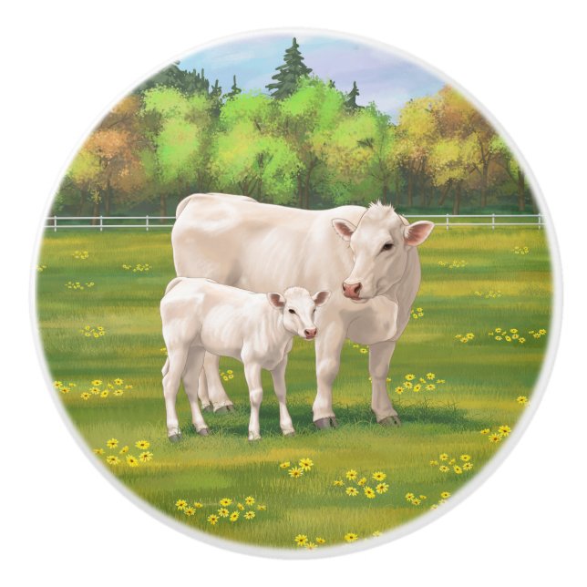 Bouton De Porte En Céramique Vache Charolais Blanche & Boeuf de veau Cupide (Devant)