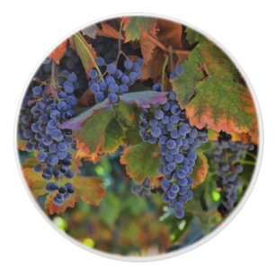 Bouton De Porte En Céramique Vignoble jolie Vignoble Pays de Vins Noeuds et Pul