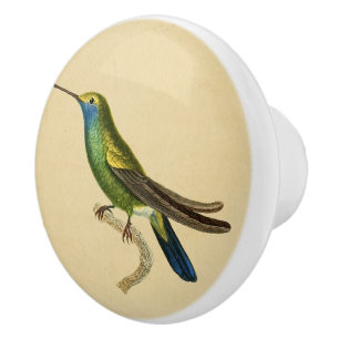 Bouton De Porte En Céramique Vintage 1830 Hummingbird Drawer Knob