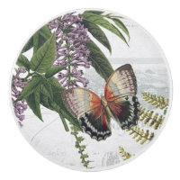 Vintage Floral Papillon botanique Cottage Blanc 1