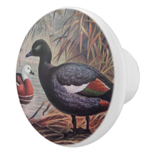 Bouton De Porte En Céramique Vintage Keulemans John Gerrard Paradise Shelduck