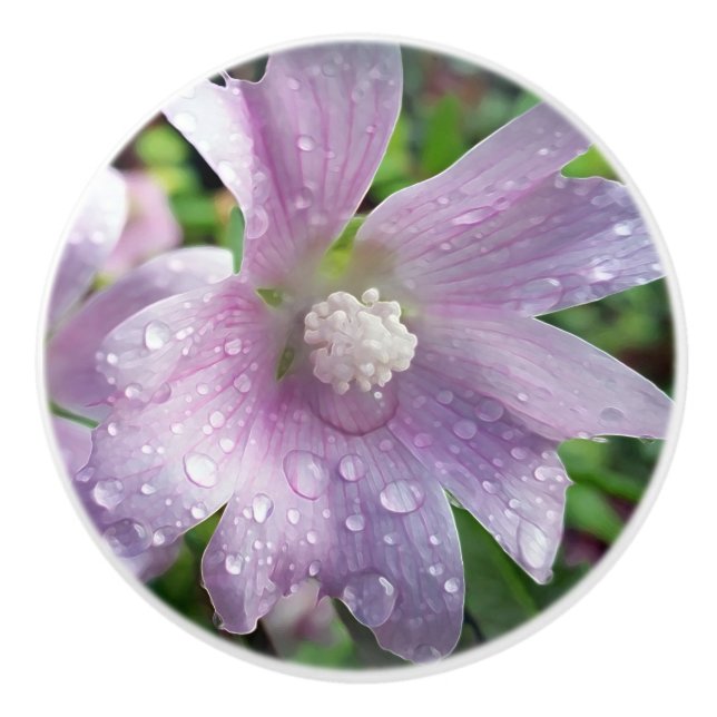 Bouton De Porte En Céramique Violet clair (Devant)